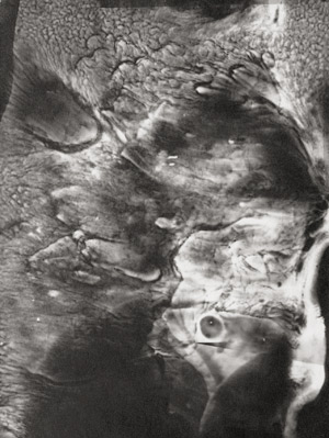 Los 4226 - Landauer, Lou - Surrealistic abstraction (Running emulsion) - 0 - thumb