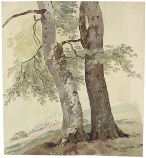 Lot 6512, Auction  112, Toepfer, Wolfgang Adam, Baumstudie
