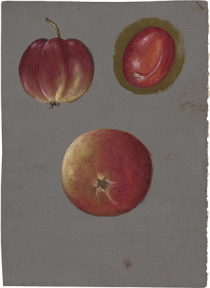 Lot 7219, Auction  112, Libert, Betzy Marie Petrea, Studien von Apfel und Pflaume