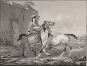 Lot 5331, Auction  122, Pforr, Johann Georg, Sechs Pferdedarstellungen