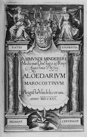 Lot 322, Auction  123, Minderer, Raymund, Aloedarium Marocostinum (EA) + De pestilentia liber unus