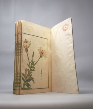 Los 513 - Bairei, Kôno - Kusa Bana Hyakushu (japonice: Hundert Sorten von Blumen). Tokio, Meiji um 1900  - 3 - thumb