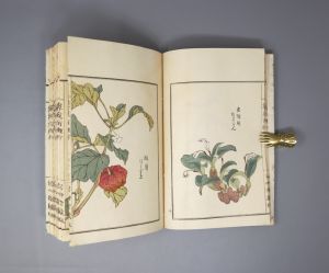 Los 513 - Bairei, Kôno - Kusa Bana Hyakushu (japonice: Hundert Sorten von Blumen). Tokio, Meiji um 1900  - 5 - thumb