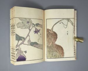 Los 513 - Bairei, Kôno - Kusa Bana Hyakushu (japonice: Hundert Sorten von Blumen). Tokio, Meiji um 1900  - 6 - thumb