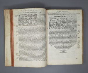 Los 759 - Olaus Magnus - Historia delle genti et della natura. Venedig 1565. - Die erste illustrierte Ausgabe - 5 - thumb