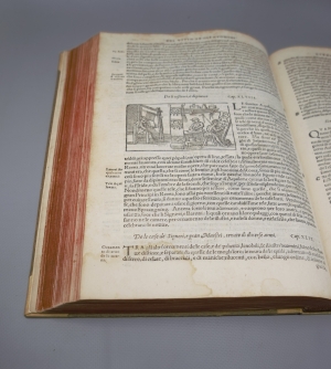 Los 759 - Olaus Magnus - Historia delle genti et della natura. Venedig 1565. - Die erste illustrierte Ausgabe - 8 - thumb