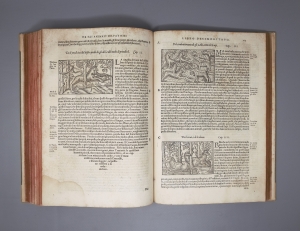 Los 759 - Olaus Magnus - Historia delle genti et della natura. Venedig 1565. - Die erste illustrierte Ausgabe - 11 - thumb