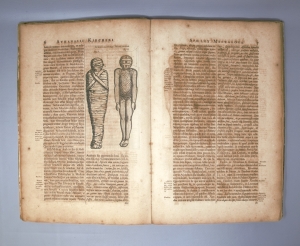 Los 885 - Kircher, Athanasius - Sphinx mystagoga - 13 - thumb