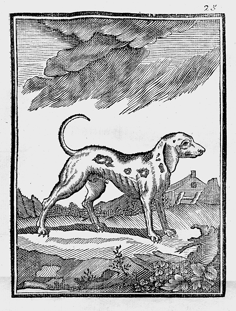 Lot 389, Auction  125, Le Verrier de la Conterie, Jean Baptiste Jacques, Venerie normande. Rouen, L. Dumesnil, 1778