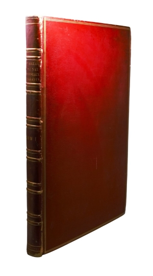 Los 372 - Levaillant, François - Histoire naturelle des oiseaux. Paris 1801-1818 - 12 - thumb