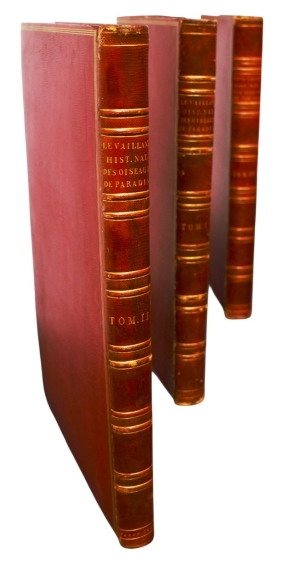 Los 372 - Levaillant, François - Histoire naturelle des oiseaux. Paris 1801-1818 - 37 - thumb