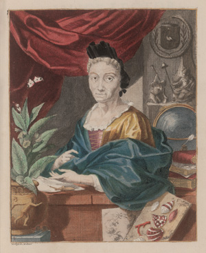 Merian, Maria Sibylla, Erucarum ortus