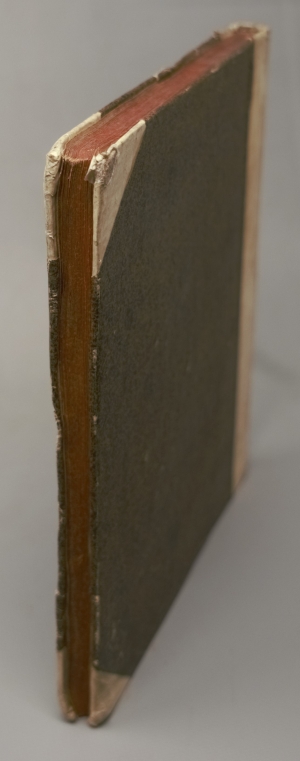 Los 383 - Schäffer, Jakob Christian - Piscium Bavarico-Ratisbonensium pentas - 2 - thumb