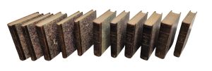 Los 386 - Vietz, Ferdinand Bernhard - Icones plantarum - 8 - thumb