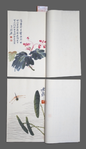 Los 666 - Qi Baishi - Rong Bao zhai xin ji shi jian pu. 2 chinesische Blockbücher  - 5 - thumb