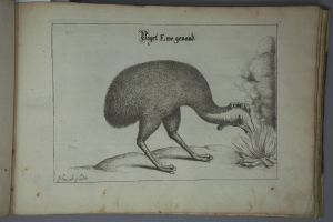 Los 1269 - Schmuck, Friedrich Wilhelm - Fasciculus admirandorum naturae - 8 - thumb