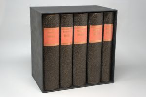 Los 2024 - Falsch und Aecht - Roman in zwei Bänden - 1 - thumb