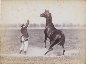 Los 4010 - Anschütz, Ottomar - Equestrian training - 1 - thumb