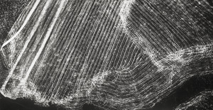 Lot 4145, Auction  126, Giacomelli, Mario, Untitled