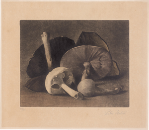 Lot 5377, Auction  126, Ilsted, Peter, Weiße Champignons