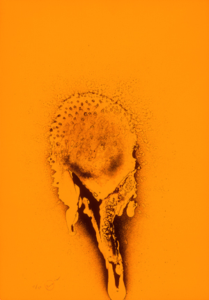 Lot 8230, Auction  126, Piene, Otto, Gelber Sonnentau