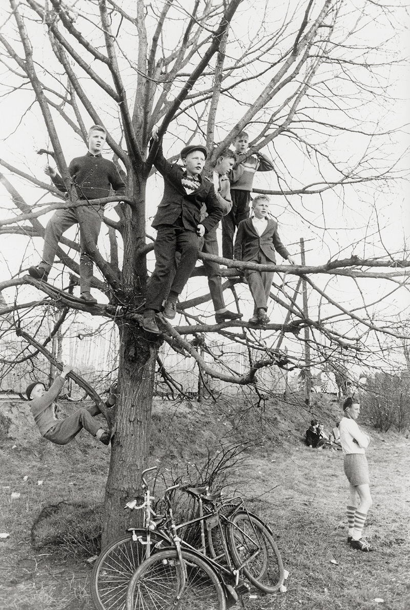 Lot 4181, Auction 126, McBride, Will, Boys in Tree watching Football Game, Berlin