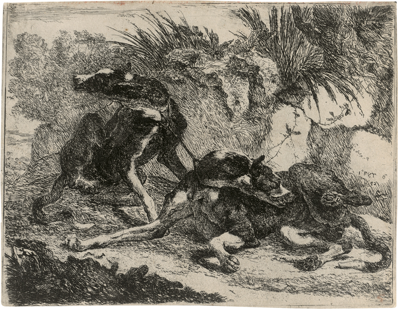 Lot 5554, Auction  126, Fyt, Jan, Drei Blatt mit Hunden