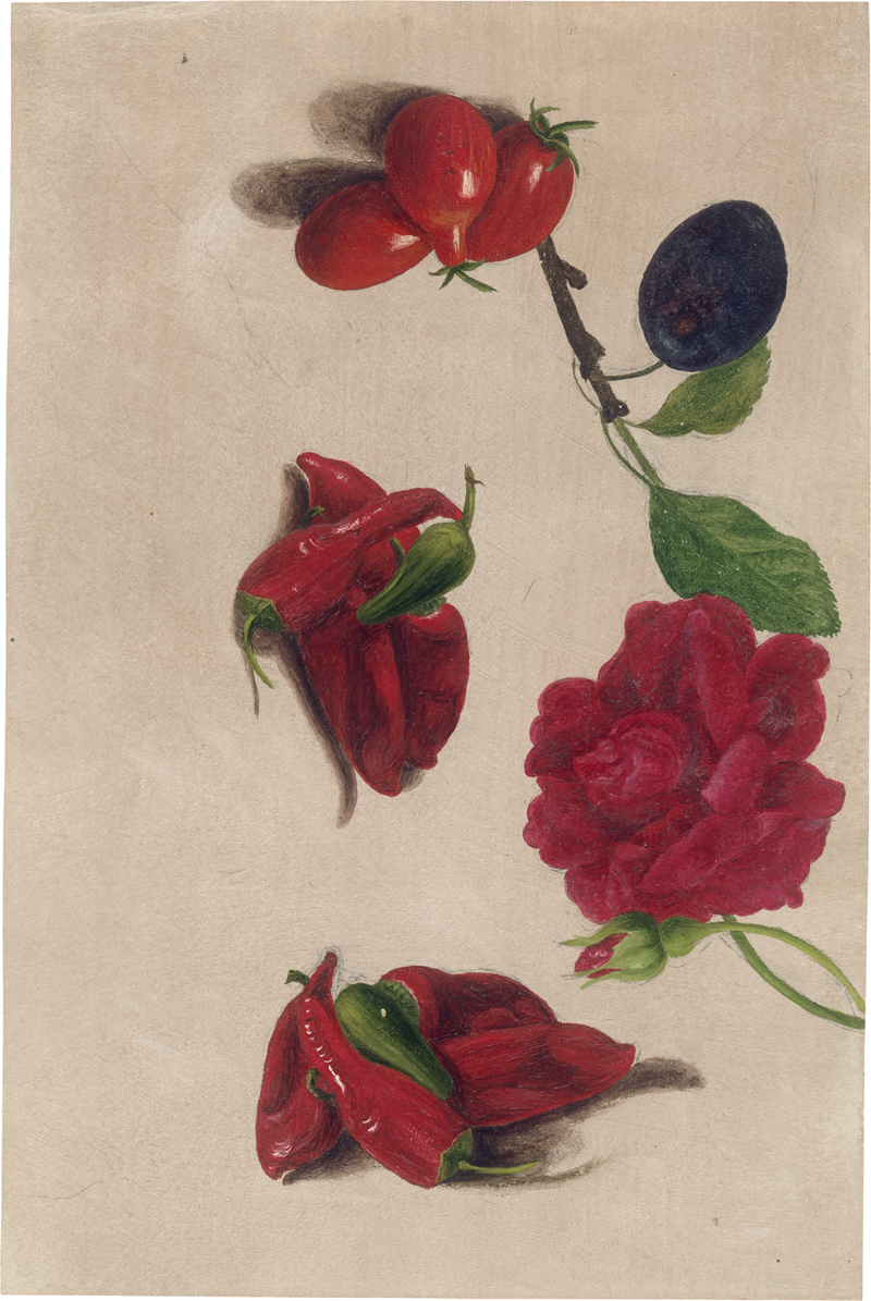 Lot 6074, Auction  126, Deutsch, um 1840. Studienblatt mit Chili, Kirschtomaten und Rosenblüte