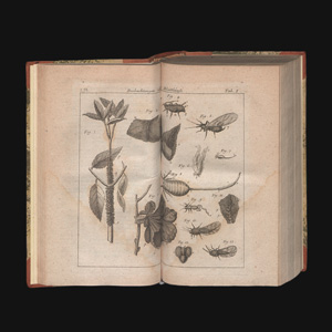 Lot 345, Auction  127, Bonnet, Charles, Abhandlungen aus der Insektologie