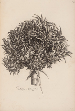 Lot 353, Auction  127, Hill, John, The vegetable system, Volume I