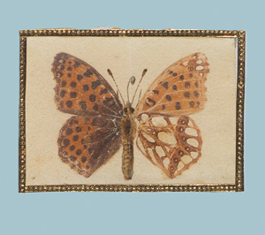 Lot 362, Auction  127, Spätbiedermeierliche Sammlung von ca. 135  aquarellierten Naturselbstdrucken, von verschiedenen Schmetterlingen und Motten