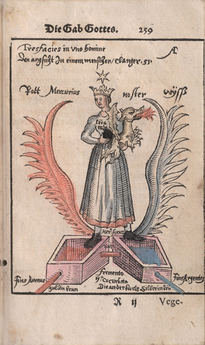 Los 1191 - Reusner, Hieronymus und Epimetheus, Franciscus - Pandora, das ist die edelste Gabe Gottes oder der werte und heilsame Stein der Weysen - 1 - thumb