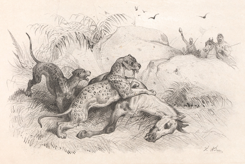 Lot 45, Auction 127, Castillon, M und Adam, Victor, Chasses en Afrique