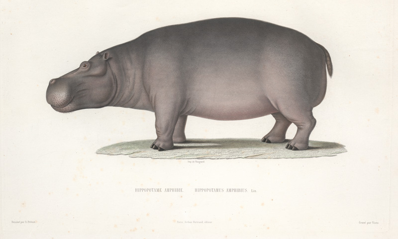 Lot 54, Auction 127, Lefebvre, Théophile, Voyage en Abyssinie exécuté pendant les années 1839, 1840, 1841, 1842, 1843