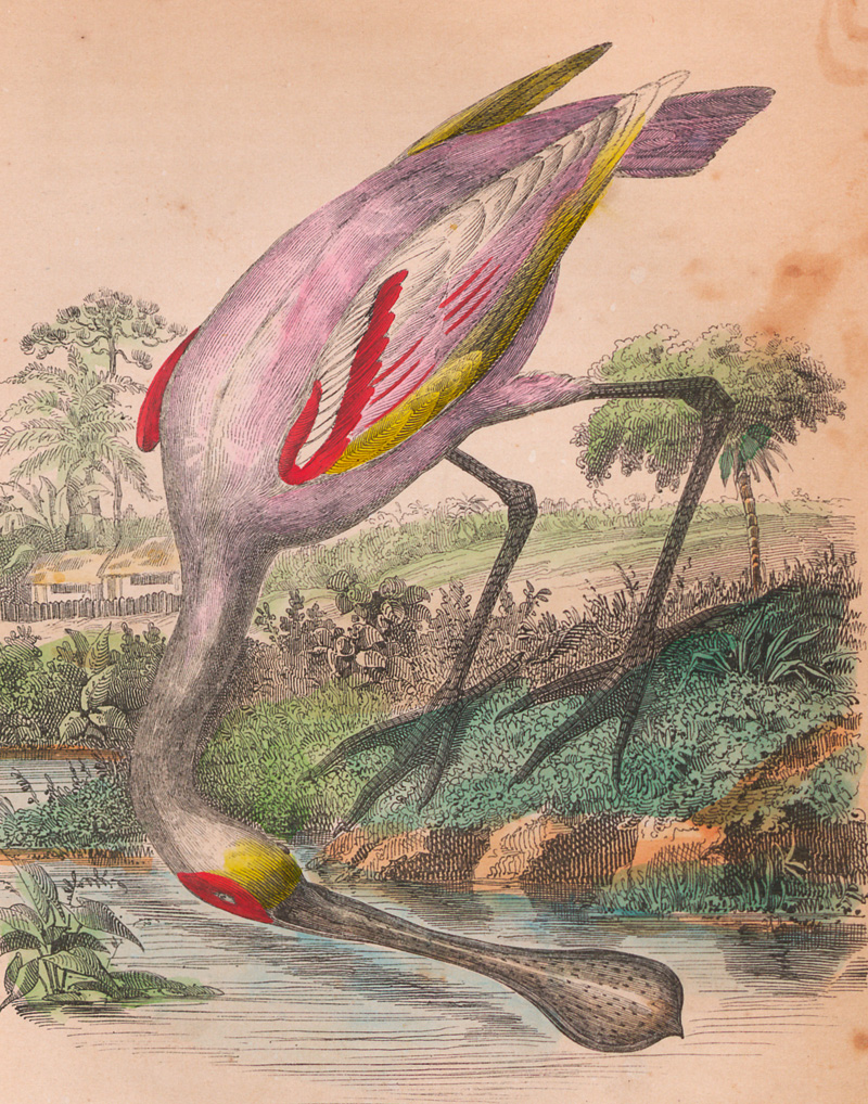 Lot 79, Auction 127, Kidder, Daniel P. und Fletcher, James C., Brazil and the Brazilians, portrayed in historical and descriptive Sketches