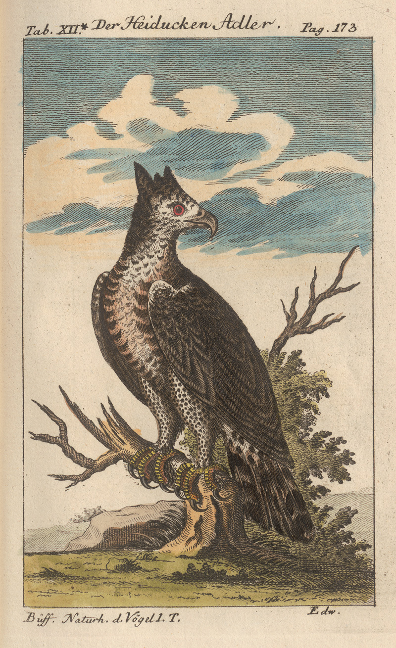 Lot 348, Auction  127, Buffon, Georges Louis Leclerc Comte de, Naturgeschichte der vierfüßigen Thiere [und:] Vögel. 